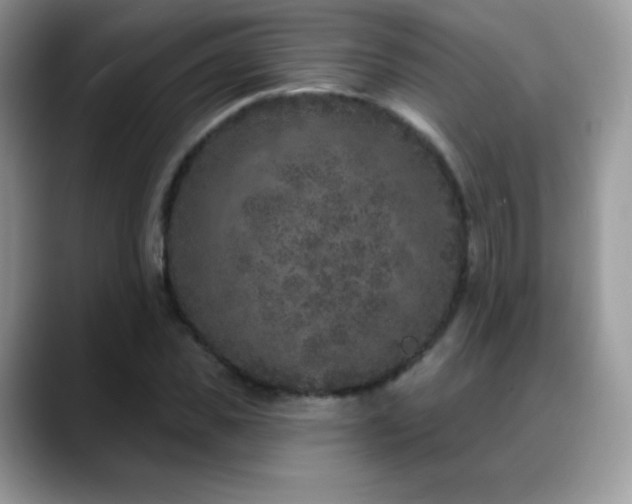 X0000088920925200706081356