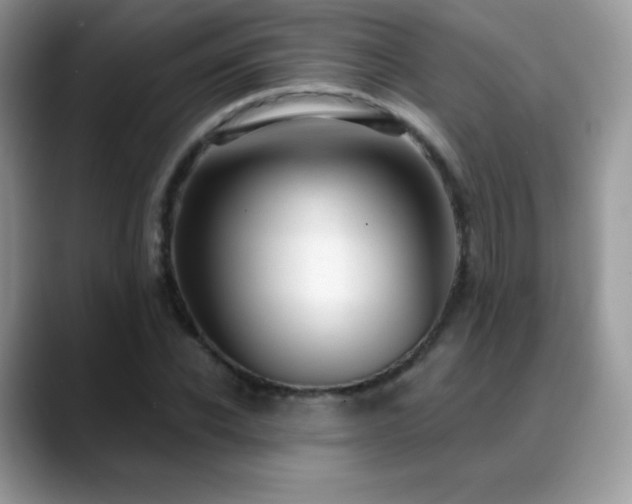 X0000088920926200706081356