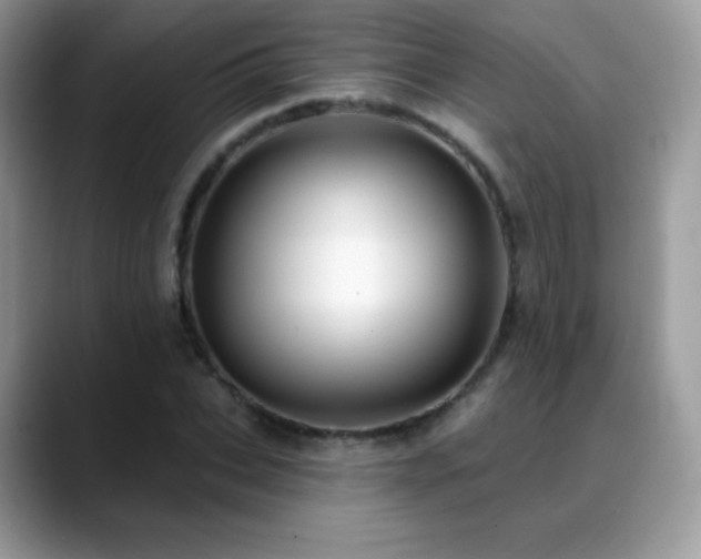 X0000088920927200706081356
