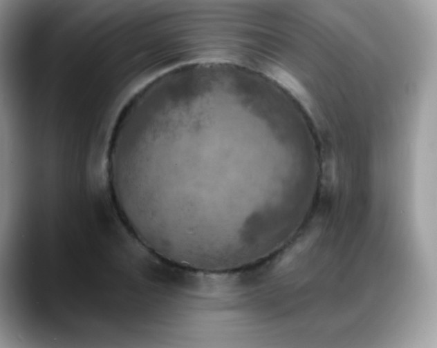X0000088920928200706081356