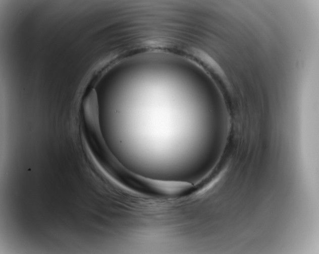X0000088920930200706081357