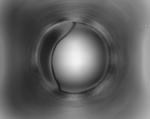 X0000088920932200706081357