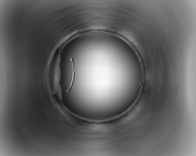 X0000088920933200706081357
