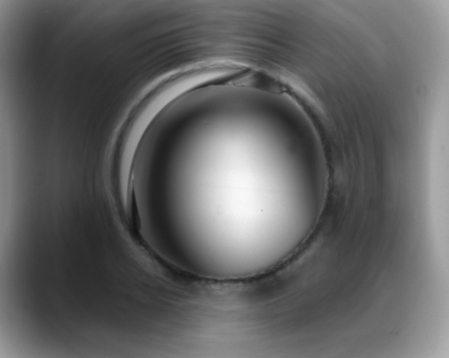 X0000088920934200706081357