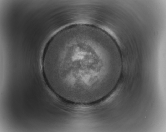 X0000088920935200706081357