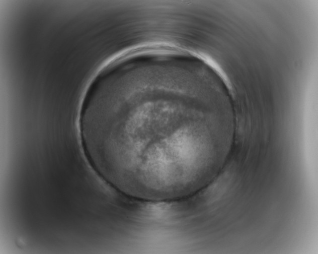 X0000088920943200706081357