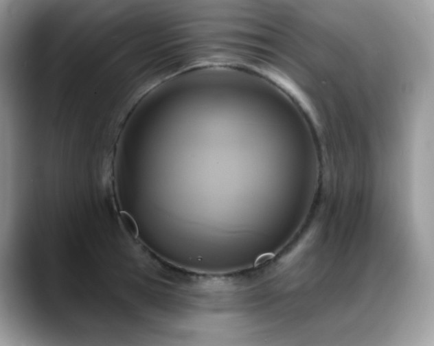 X0000088920945200706081357