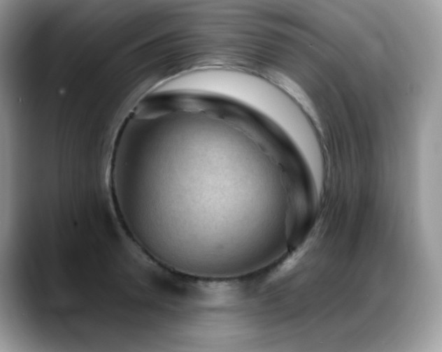 X0000088920946200706081357