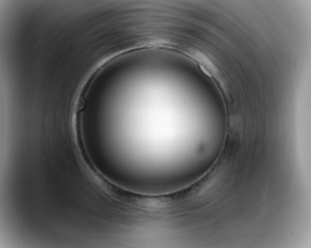 X0000088920947200706081357
