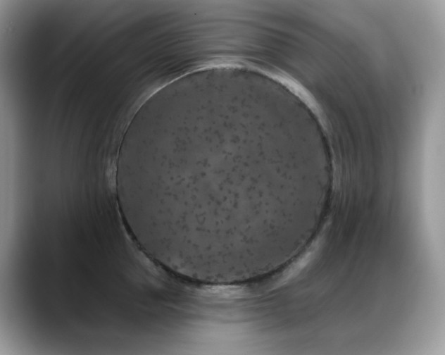 X0000088920953200706081357