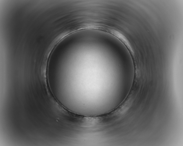 X0000088920954200706081357