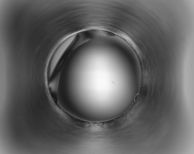 X0000088920955200706081357