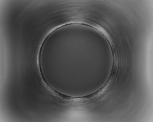X0000088920958200706081357