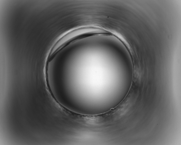 X0000088920959200706081357