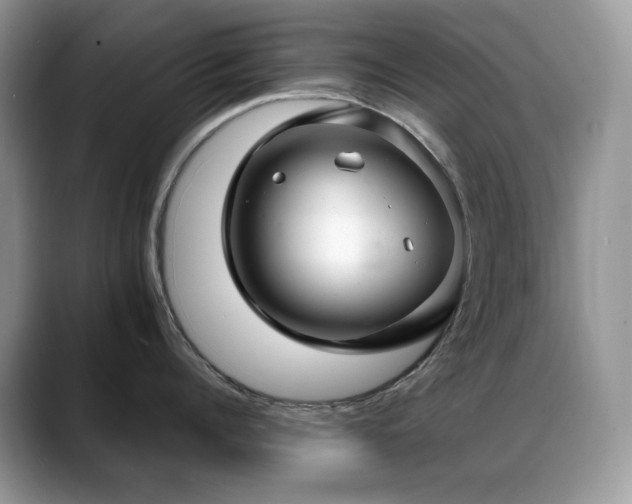 X0000088920960200706081357