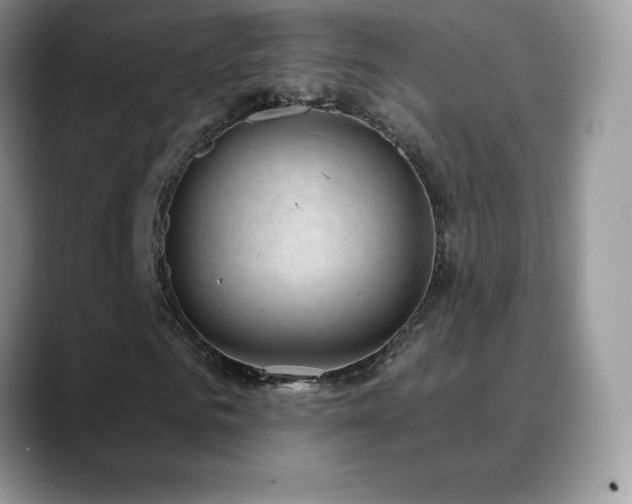 X0000088920961200706081356