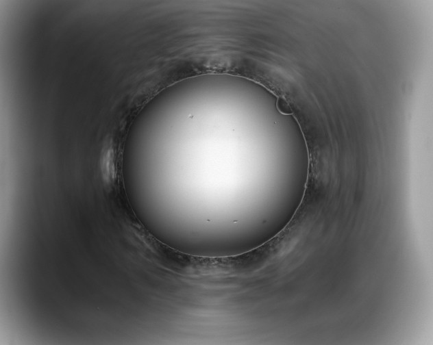 X0000088920962200706081356