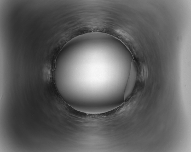 X0000088920963200706081356