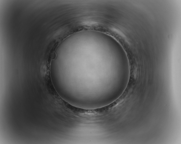 X0000088920966200706081356