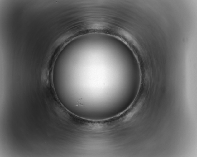 X0000088920970200706081356