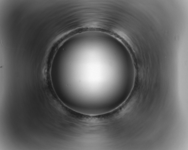 X0000088920971200706081356
