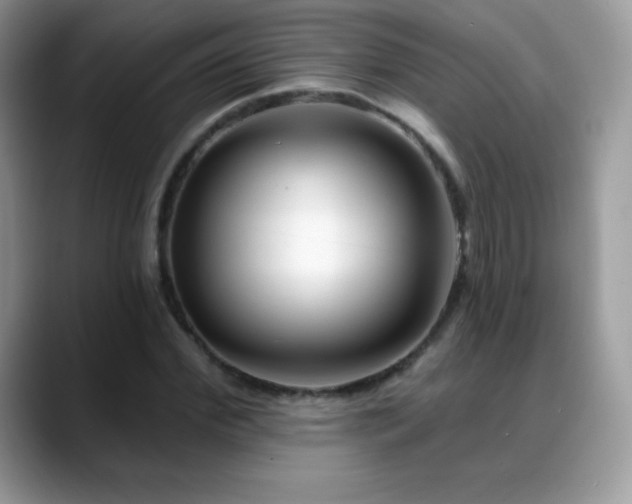 X0000088920972200706081356