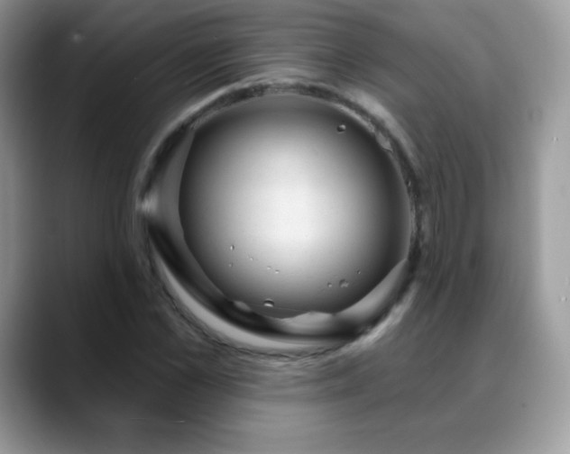 X0000088920973200706081356