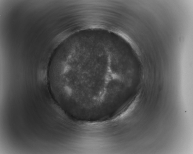 X0000088920977200706081356
