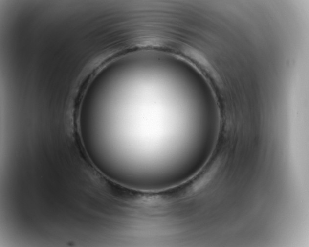 X0000088920978200706081356