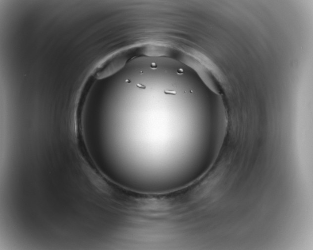 X0000088920980200706081356