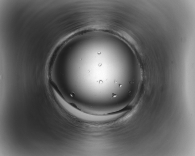 X0000088920981200706081356