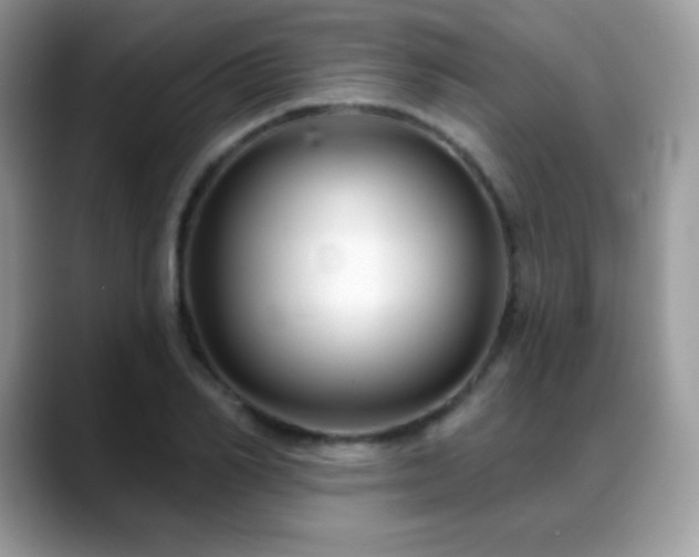X0000088920982200706081356