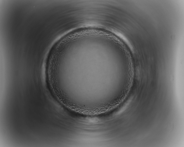 X0000088920983200706081356