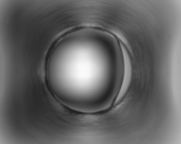 X0000088920984200706081356