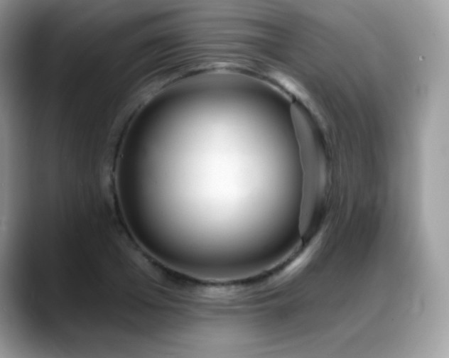 X0000088920985200706081356