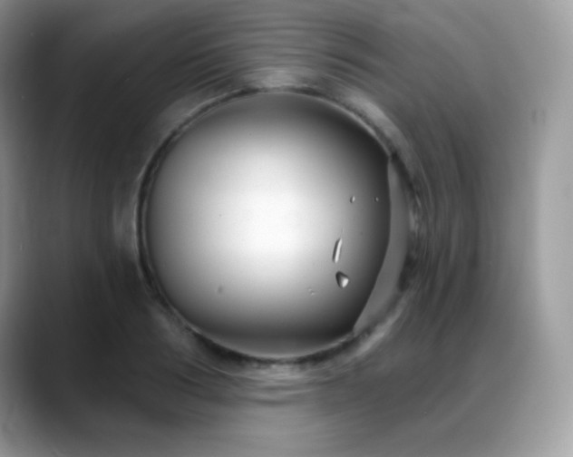 X0000088920986200706081356