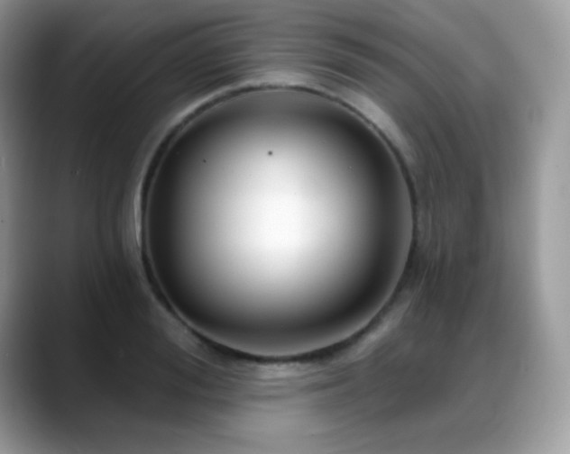 X0000088920988200706081356
