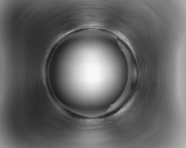 X0000088920989200706081356