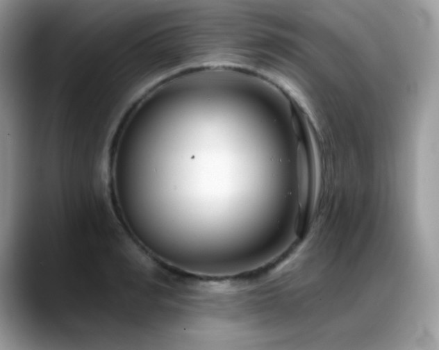 X0000088920990200706081356