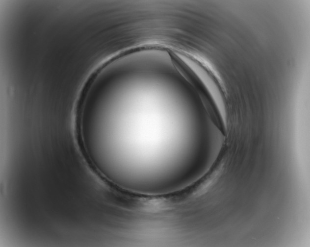 X0000088920991200706081356