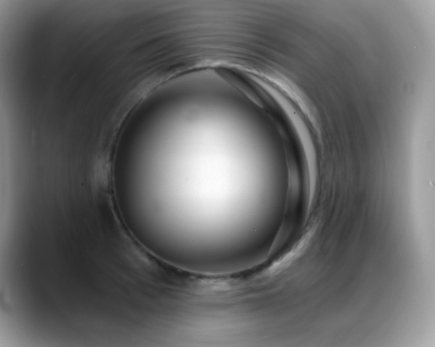 X0000088920993200706081356