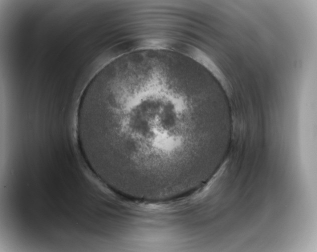 X0000088920994200706081356