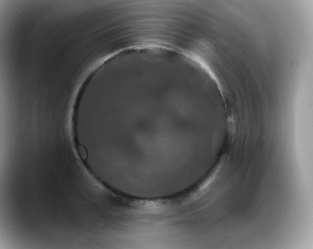 X0000088920995200706081356