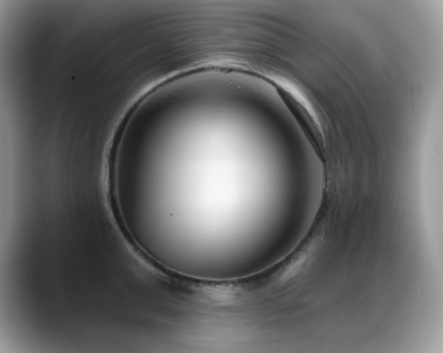 X0000088920999200706081356