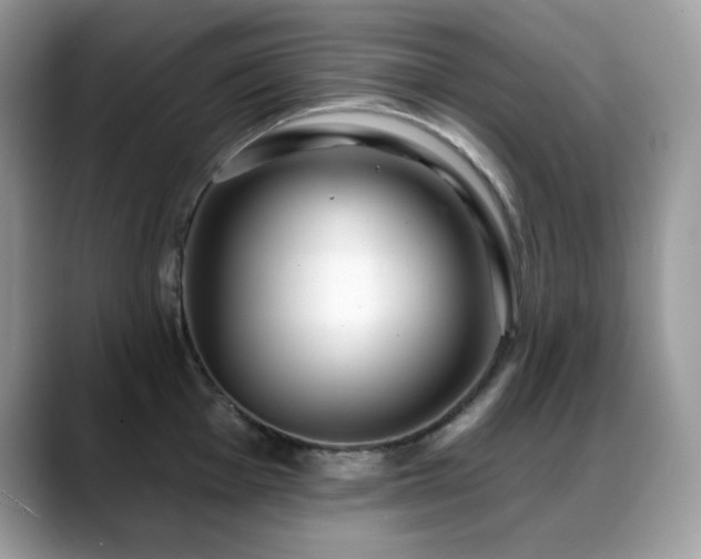 X0000088921001200706081356