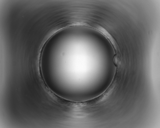 X0000088921002200706081356