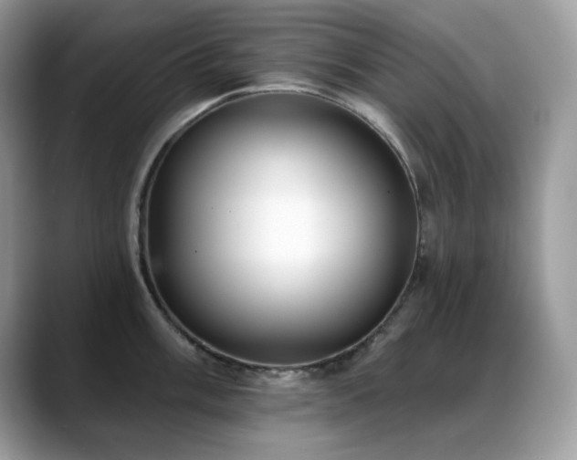 X0000088921003200706081356