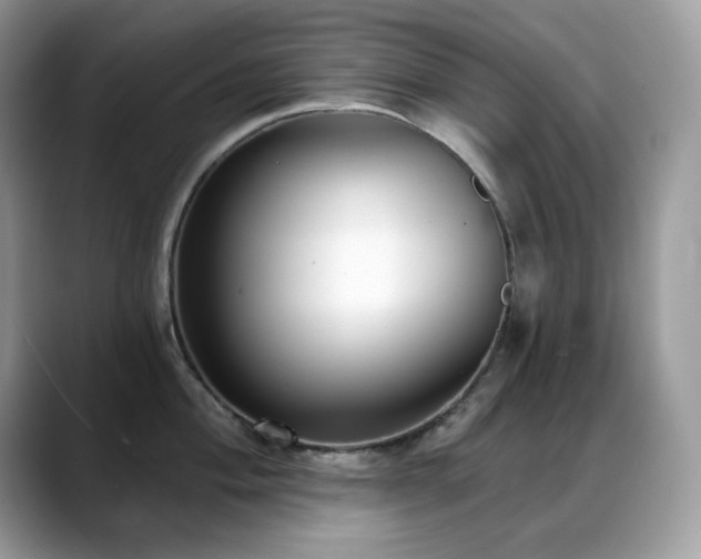 X0000088921004200706081356