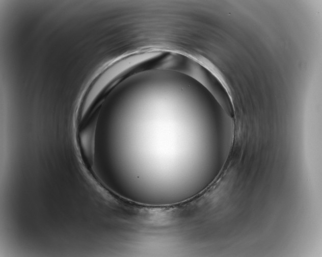 X0000088921005200706081356