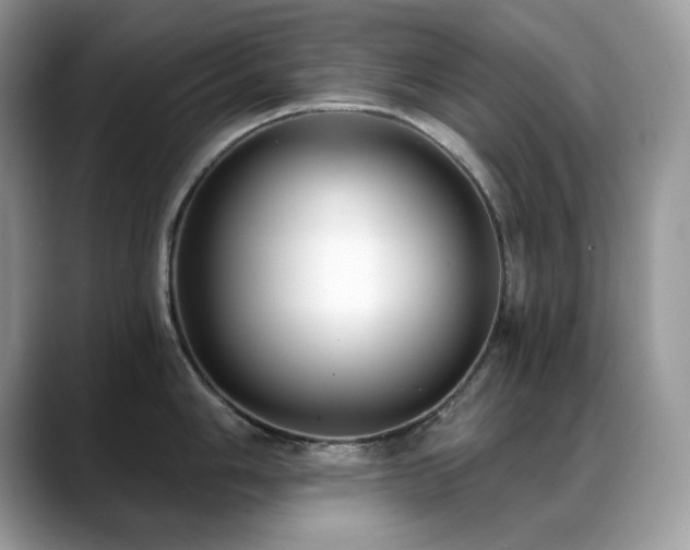 X0000088921006200706081356